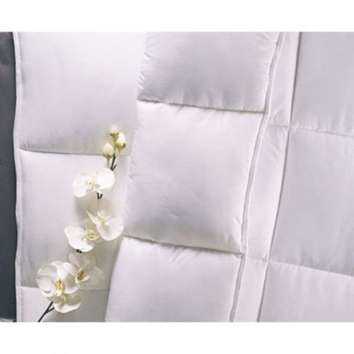 Tac Single Microfiber Quilt